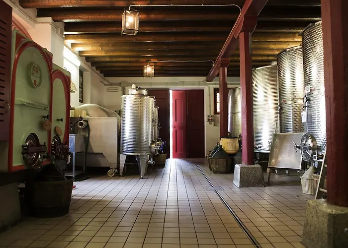 Villa Casali del Picchio - Winery Cividale del Friuli
